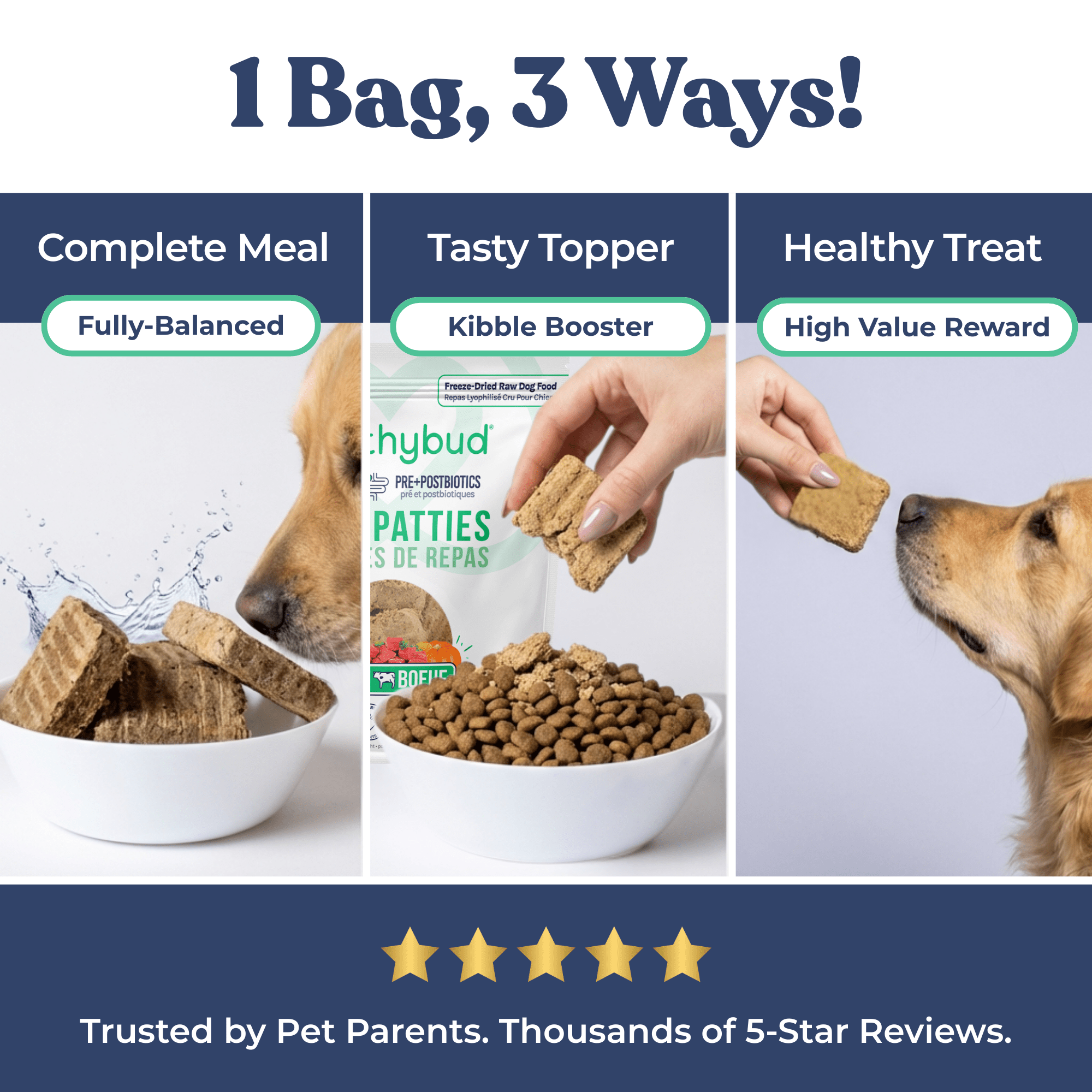 Dog Food Beef Reviews 