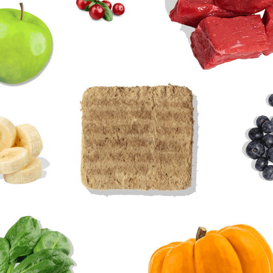 Dog Food Beef Patties