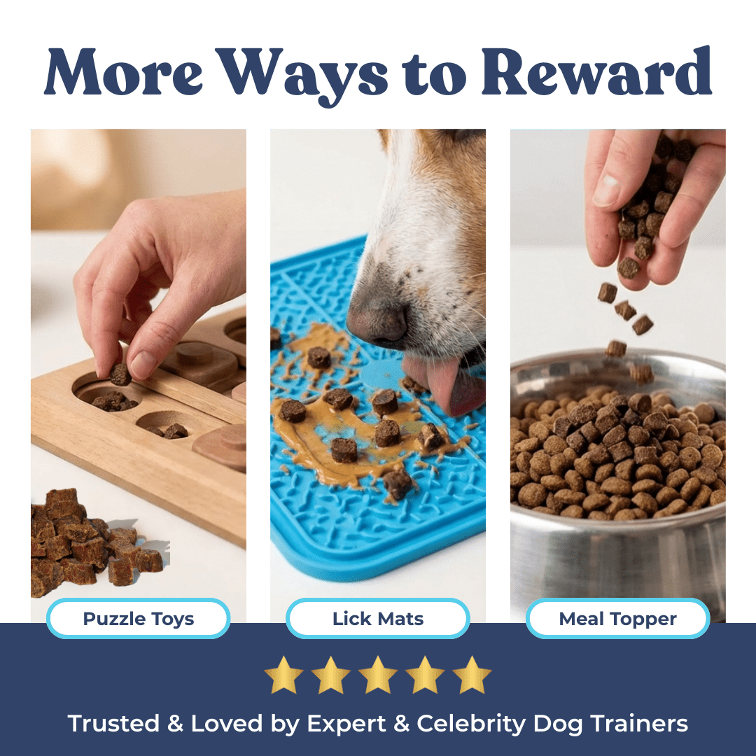 Dog beef jerky treats training