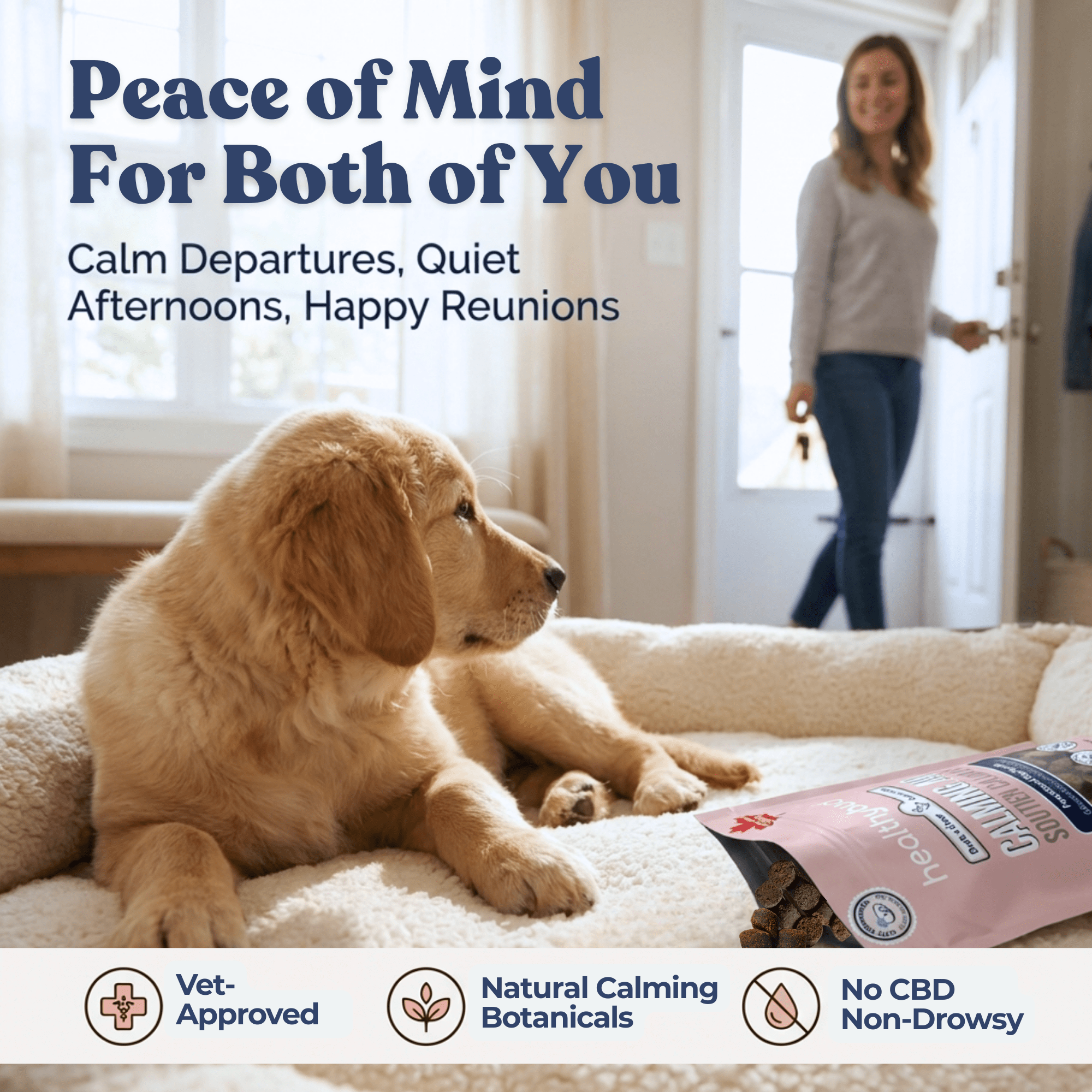 Dog calm treats benefits