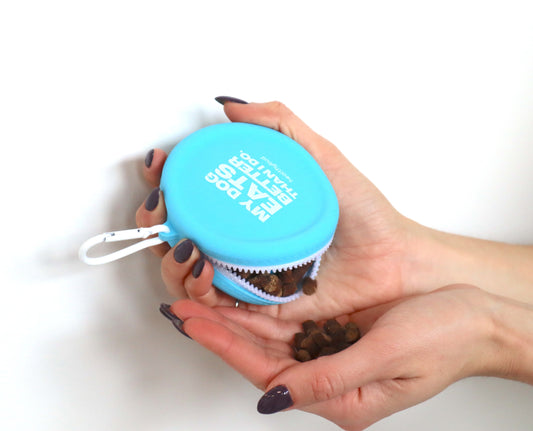 Dog treat pouch in hands