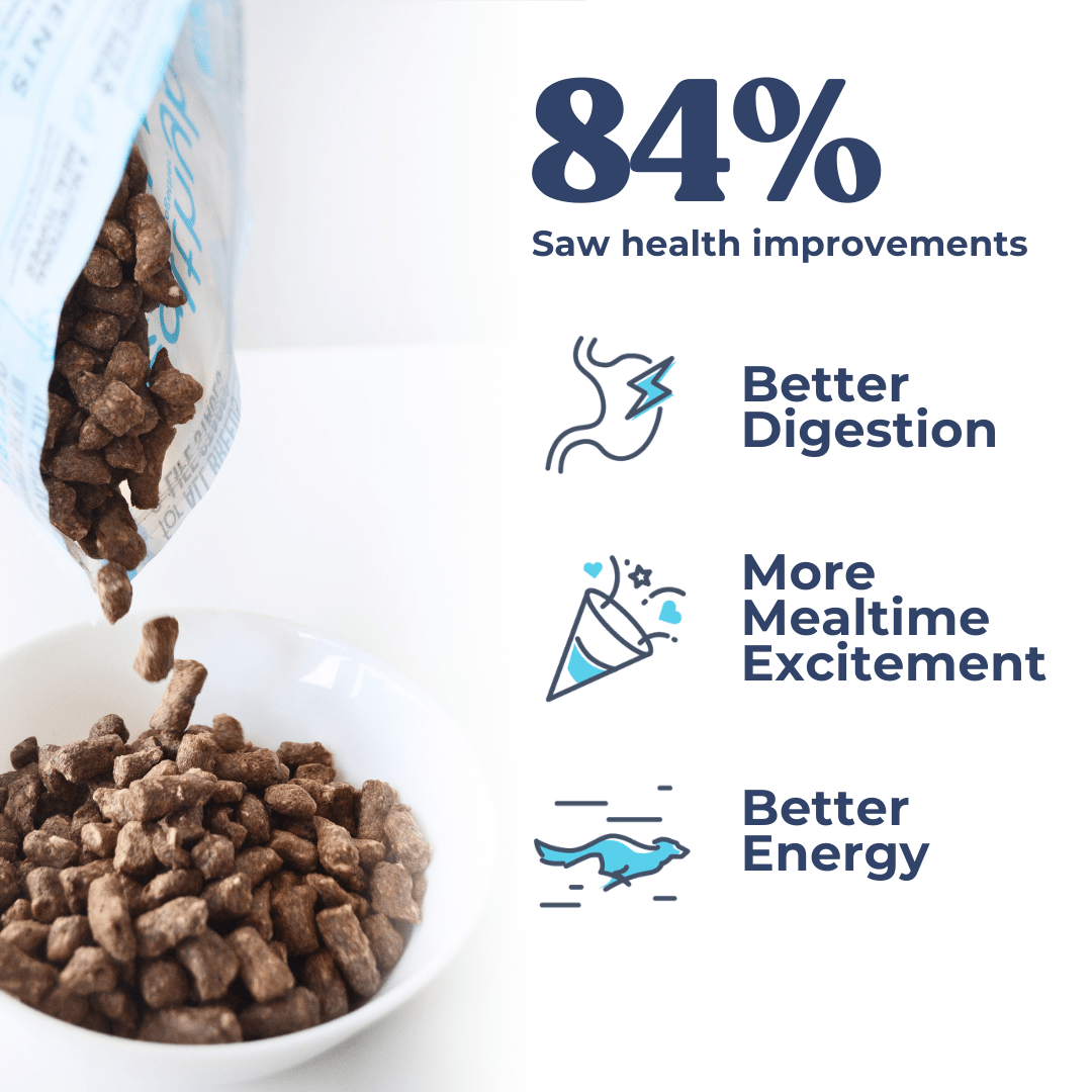 Dog treats with turkey