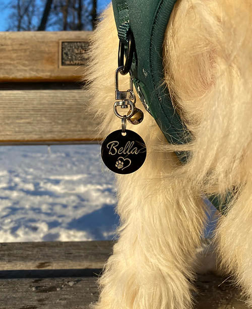 Dog wearing black id tag laser engraved