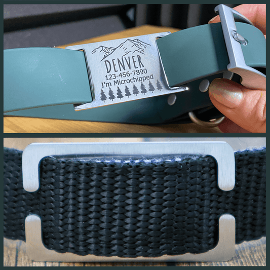 Silent Dog Tags on Collar Canada