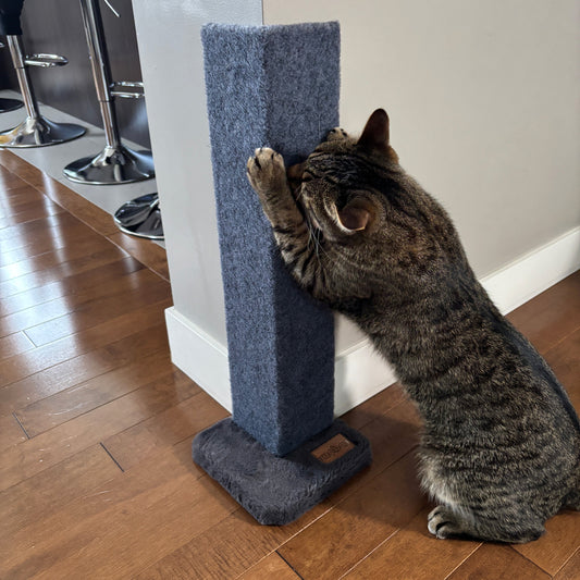 Cat Scratch Protector for Furniture | Tag4MyPet | Ships to Canada & USA