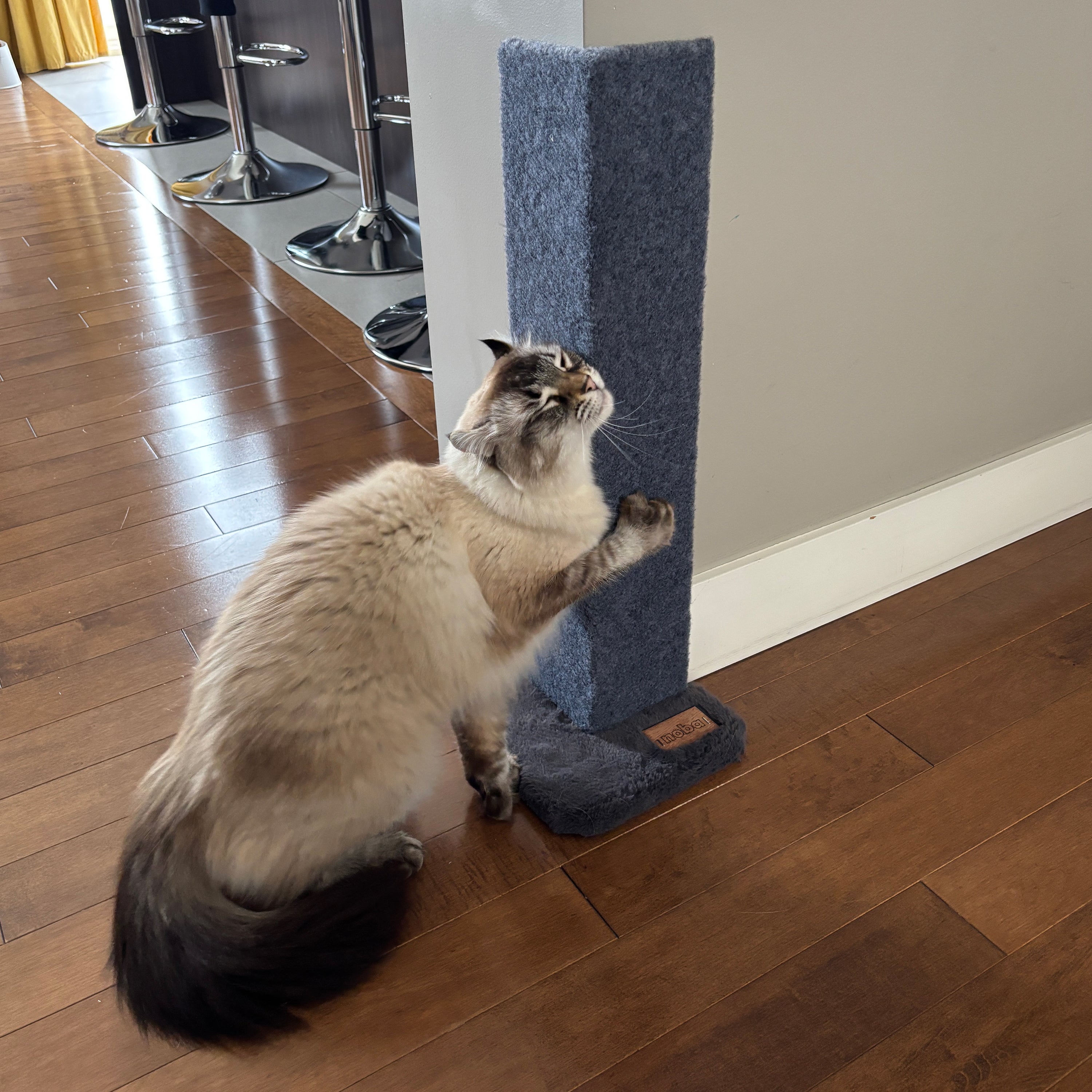 Cat Scratch Protector for Furniture | Tag4MyPet | Ships to Canada & USA