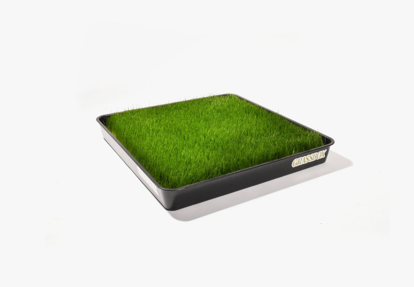 Reusable GrassBox Tray – Durable Indoor & Outdoor Base