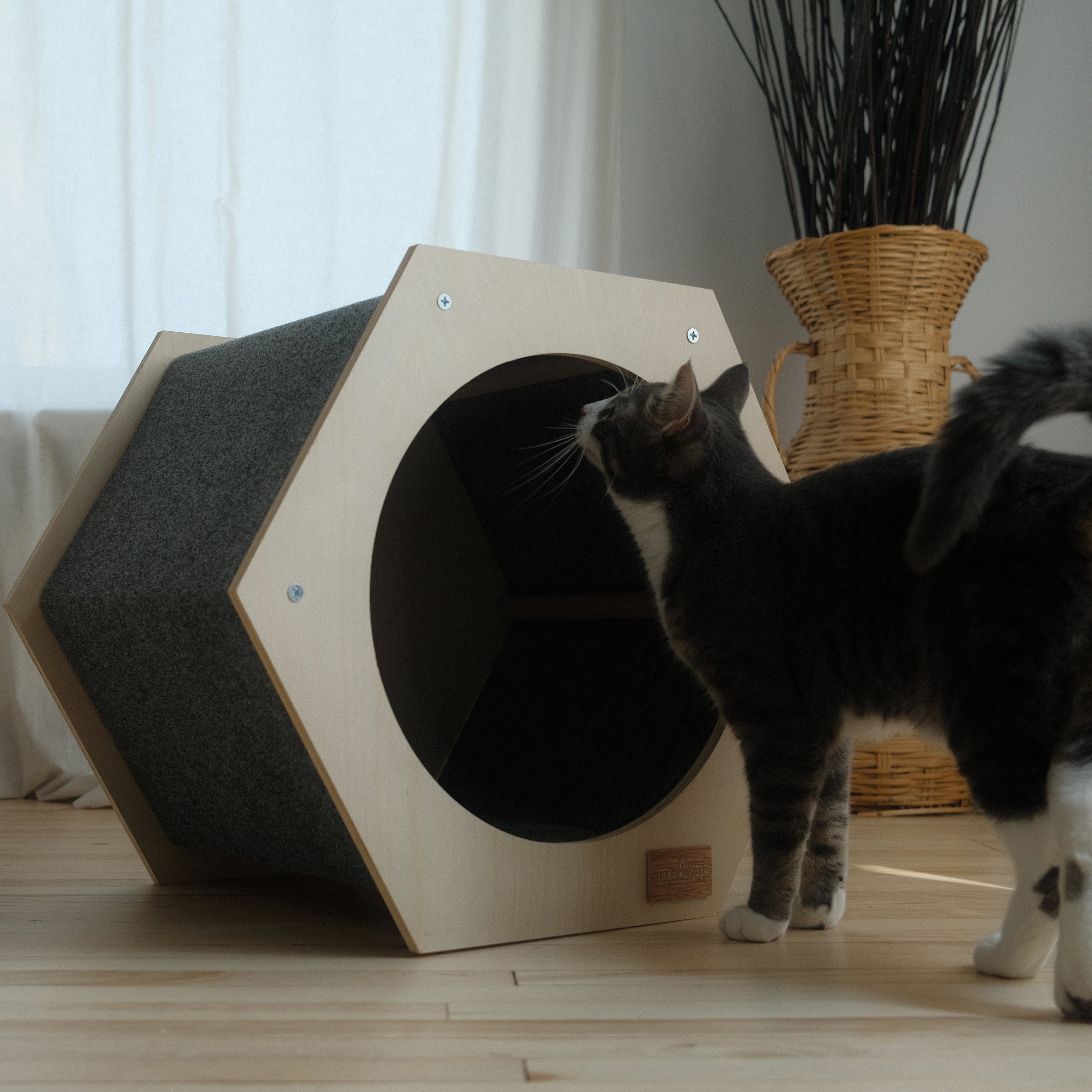 Hexagon Scratchable Cat House – Modern & Cozy Condo