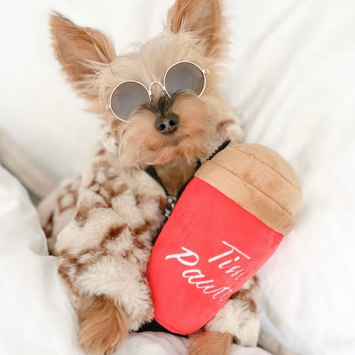 Tim Pawtons Eco-Friendly Plush Dog Toy