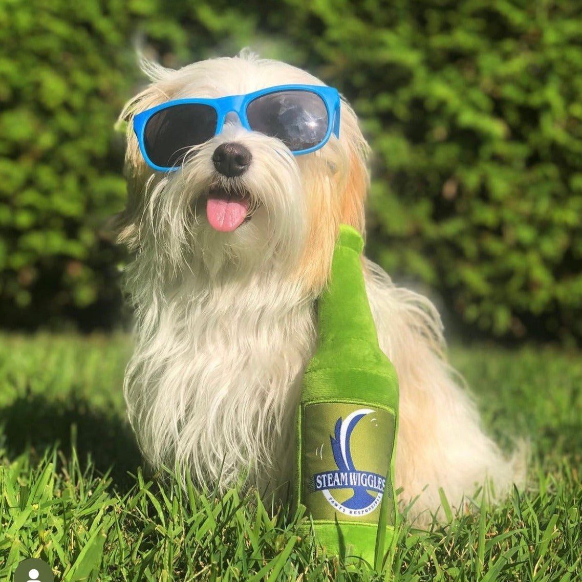 Brew Chew Plush Dog Toy – Squeaky & Eco-Friendly