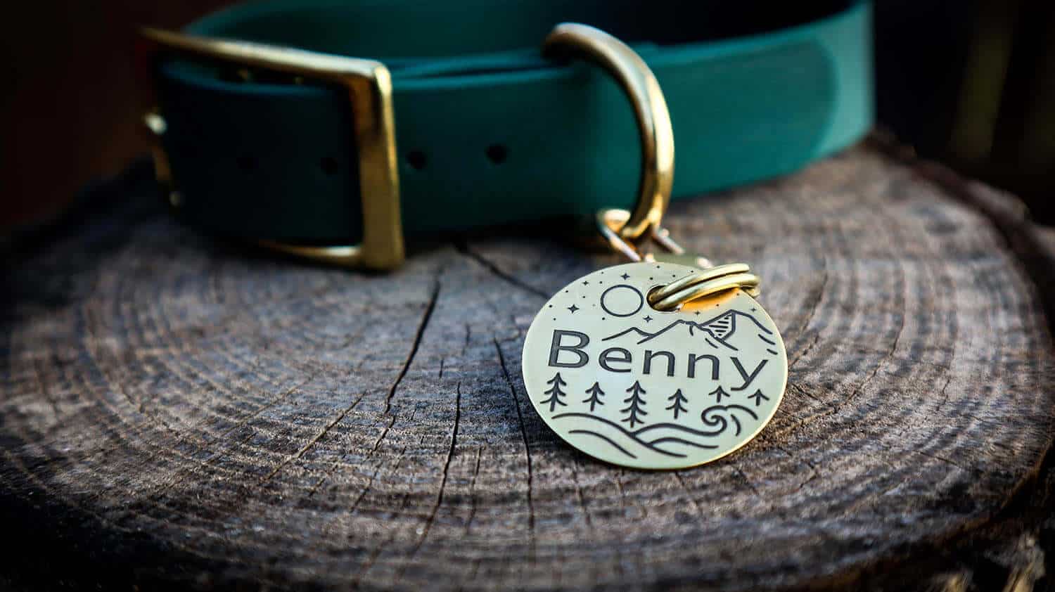 Dog ID Tag with Green Collar