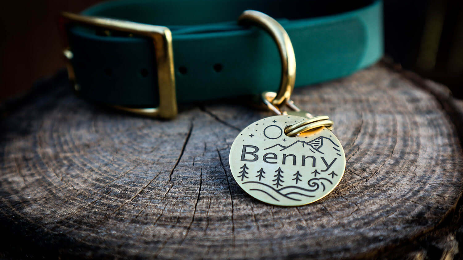Dog Tag Laser Engraved Gold attached to a green collar | Tag4MyPet