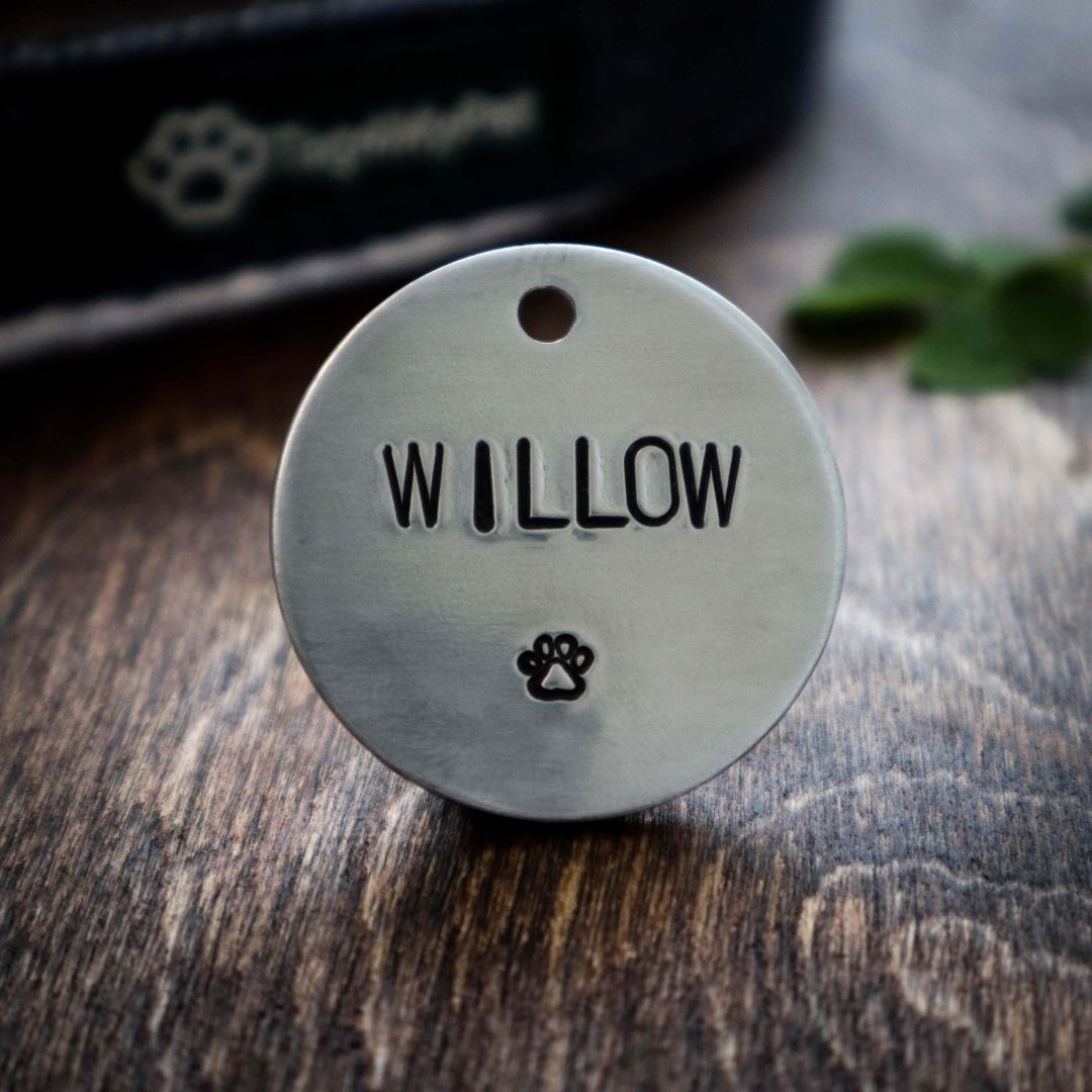 Pet Name Tags for Dogs