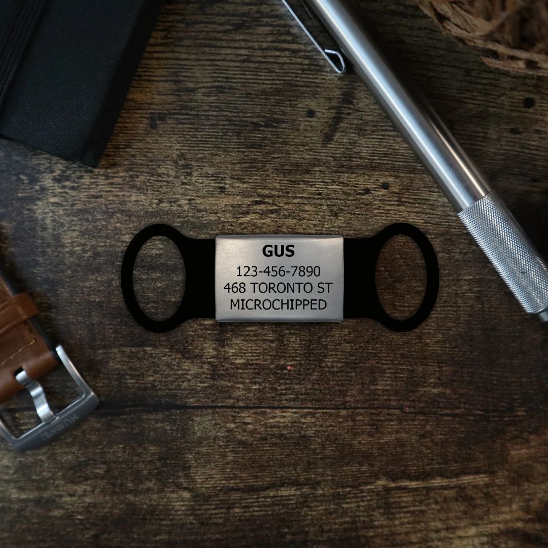 Silicone Slide On Dog Tags