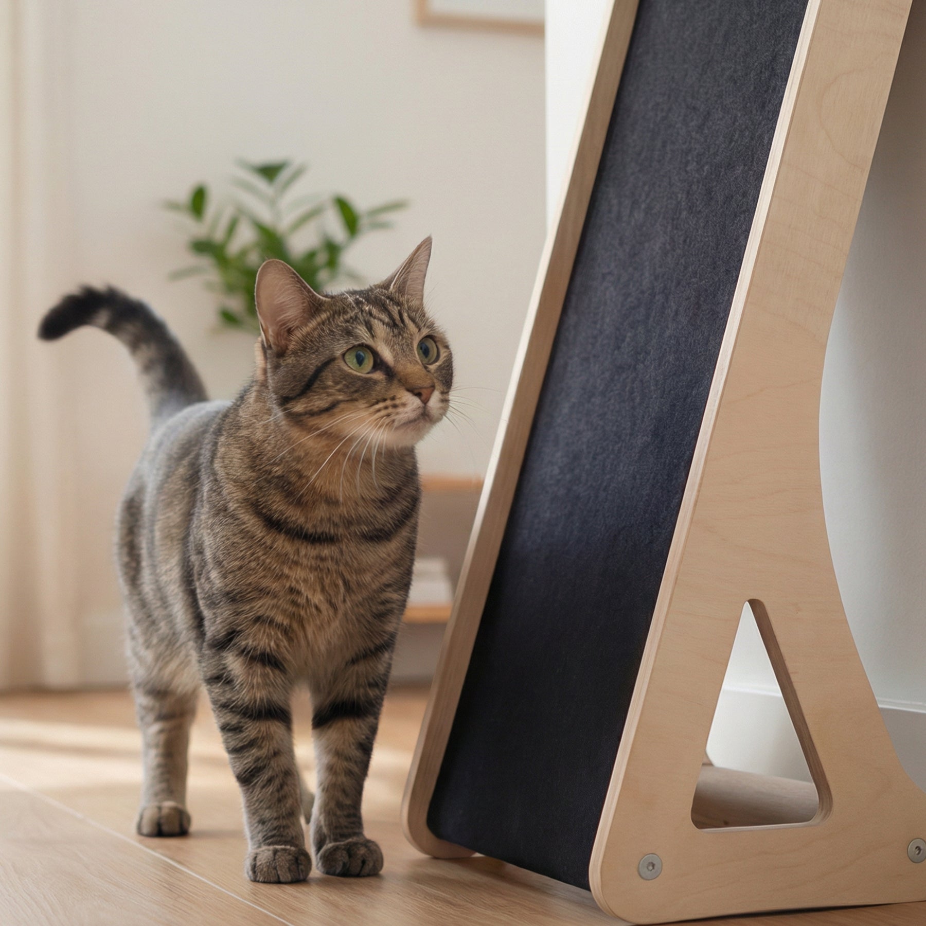 Carpet Cat Scratcher | Tag4MyPet