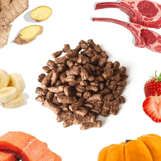  Lamb Treats for Dogs