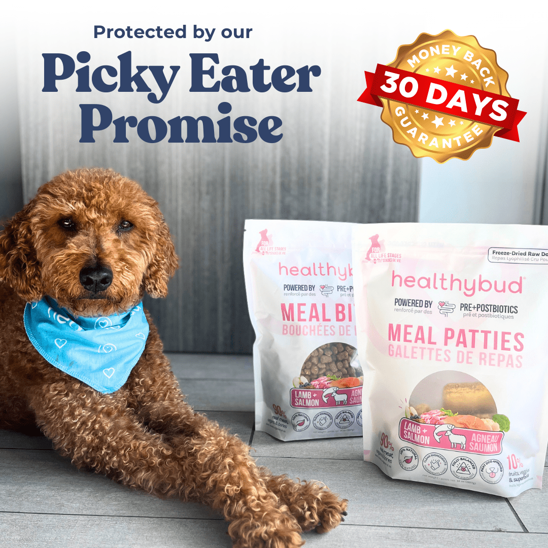 Lamb Treats for Dogs