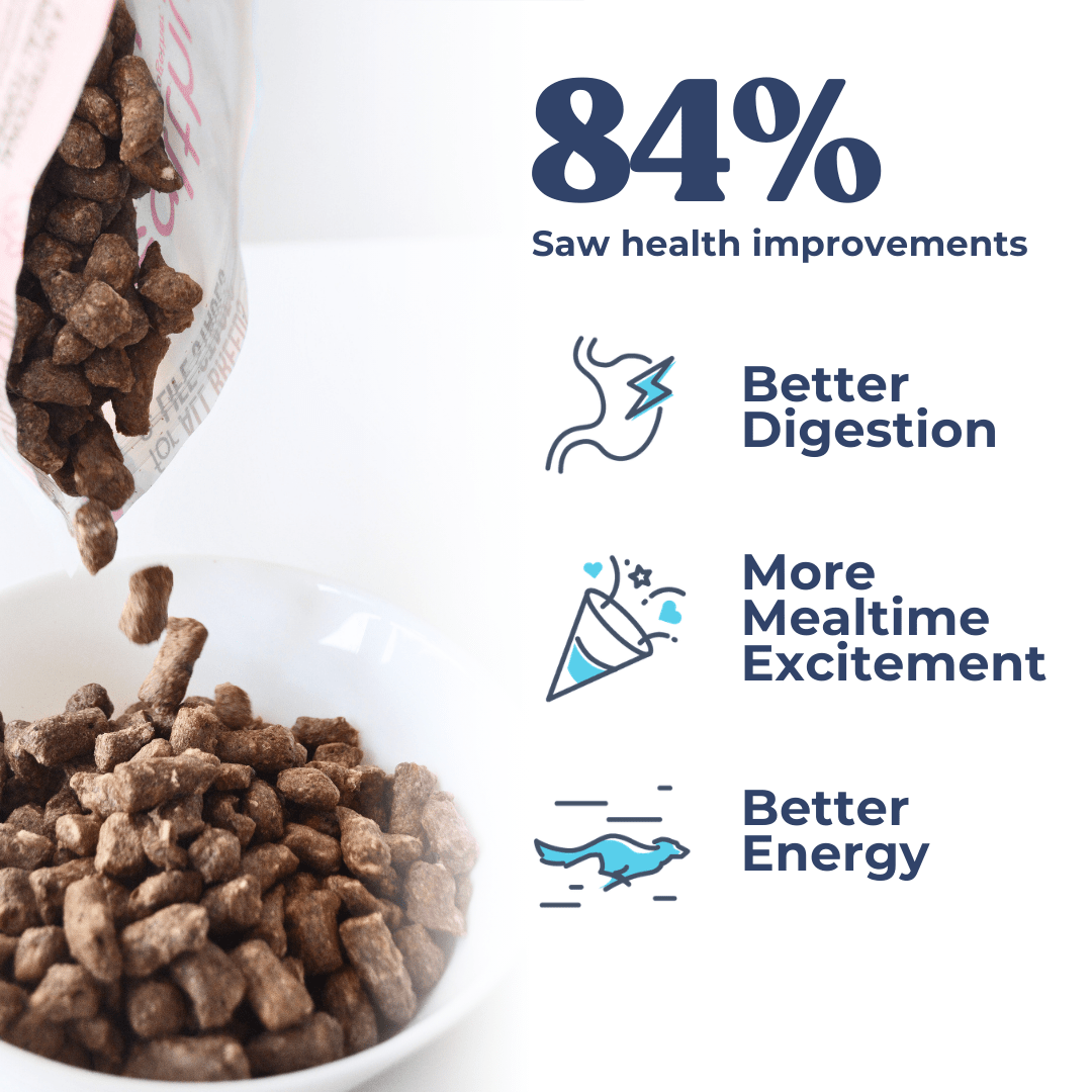 Lamb Treats for Dogs