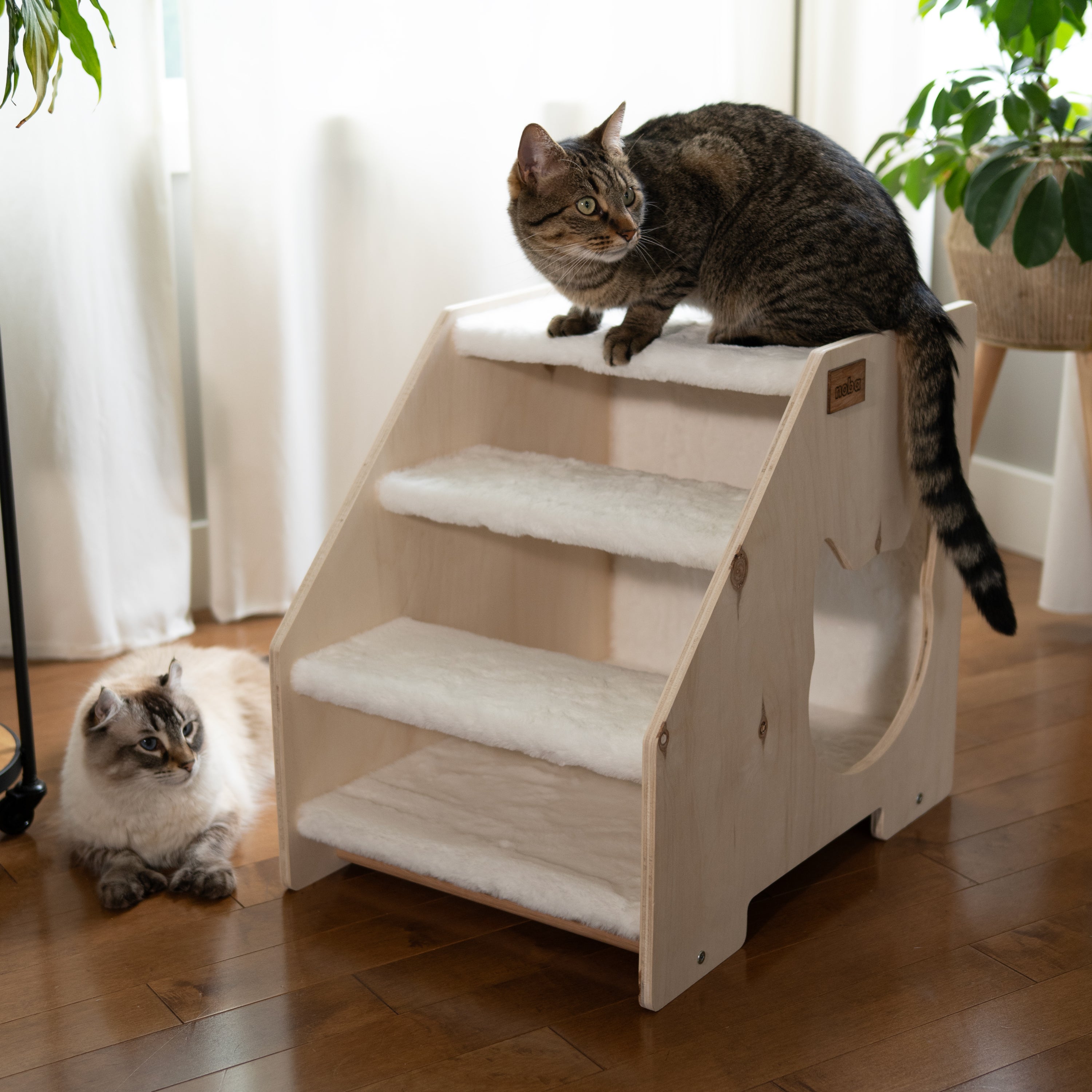 Elevate Your Pet’s Comfort with Our Stairs Hideout