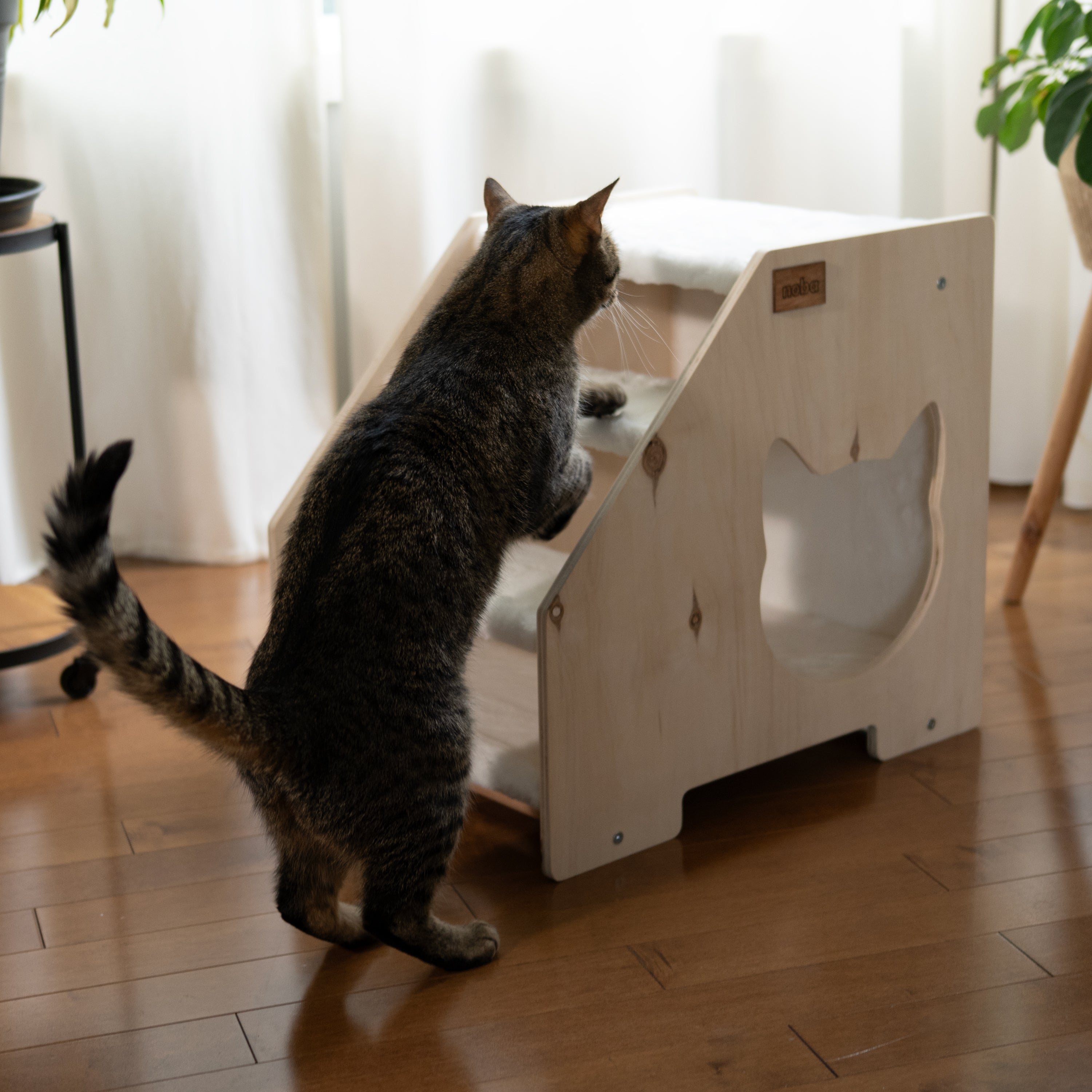 Elevate Your Pet’s Comfort with Our Stairs Hideout