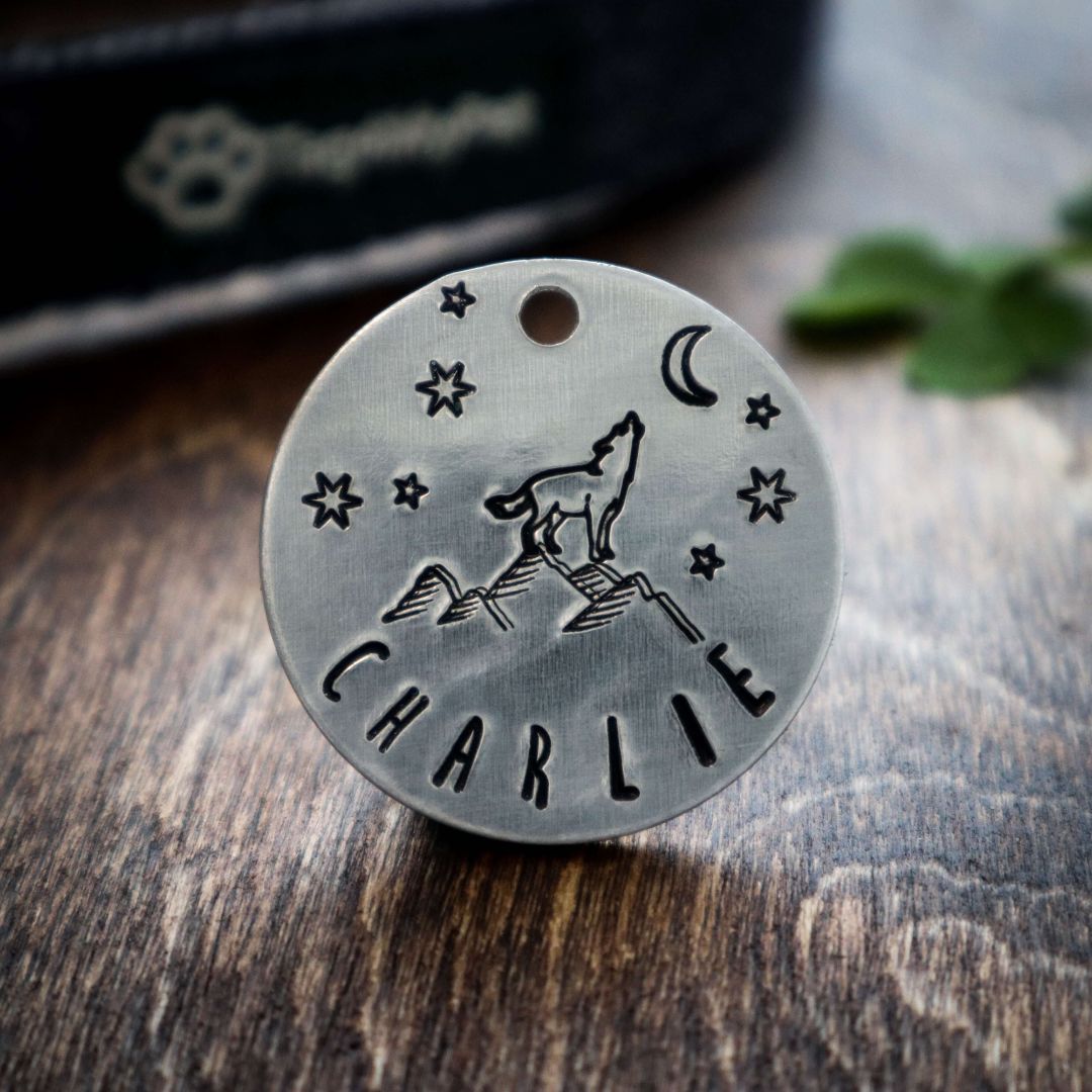 Dog ID Tags for Pets | Tag4MyPet