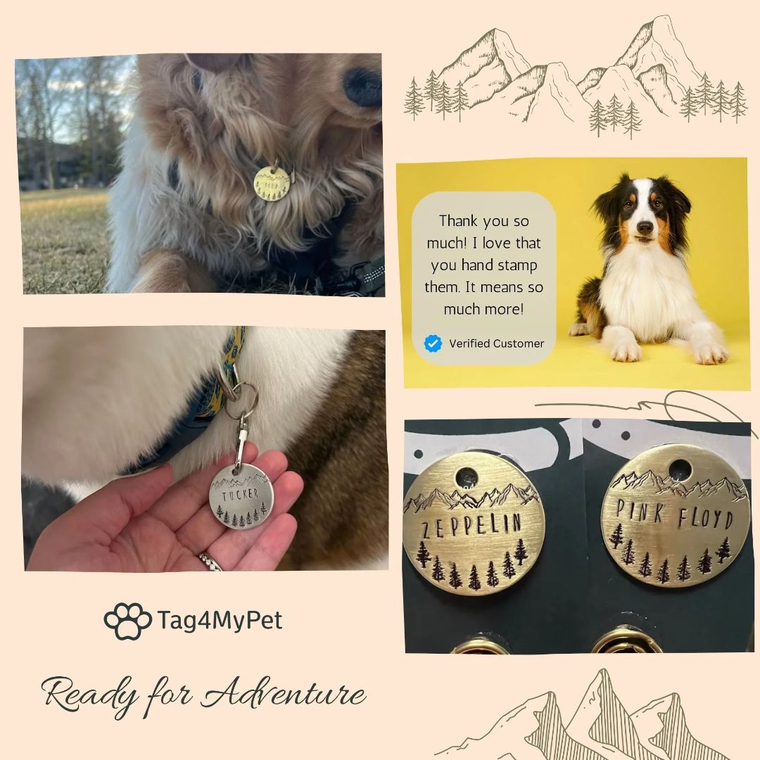 Dog Collar Tag | Tag4MyPet