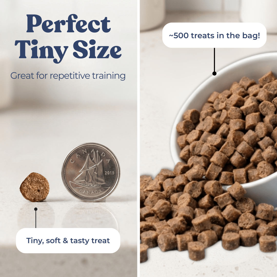 Chicken treats for dogs