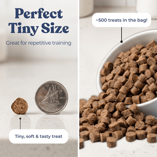 Chicken treats for dogs