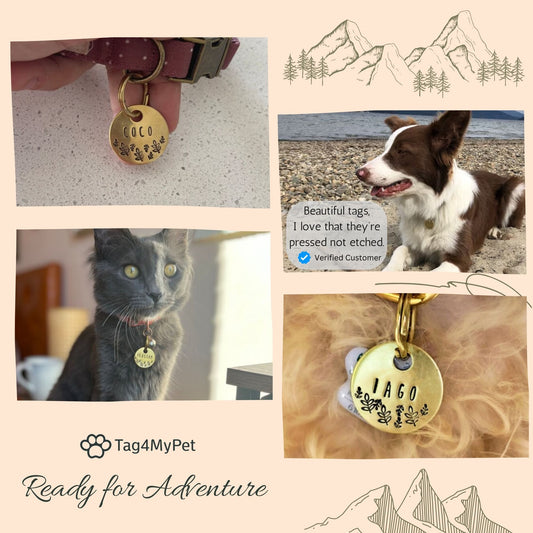 Cat identity tags