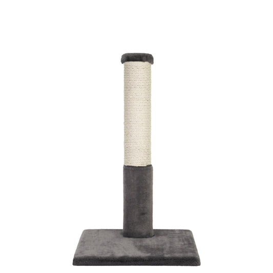 Best scratching post for cats