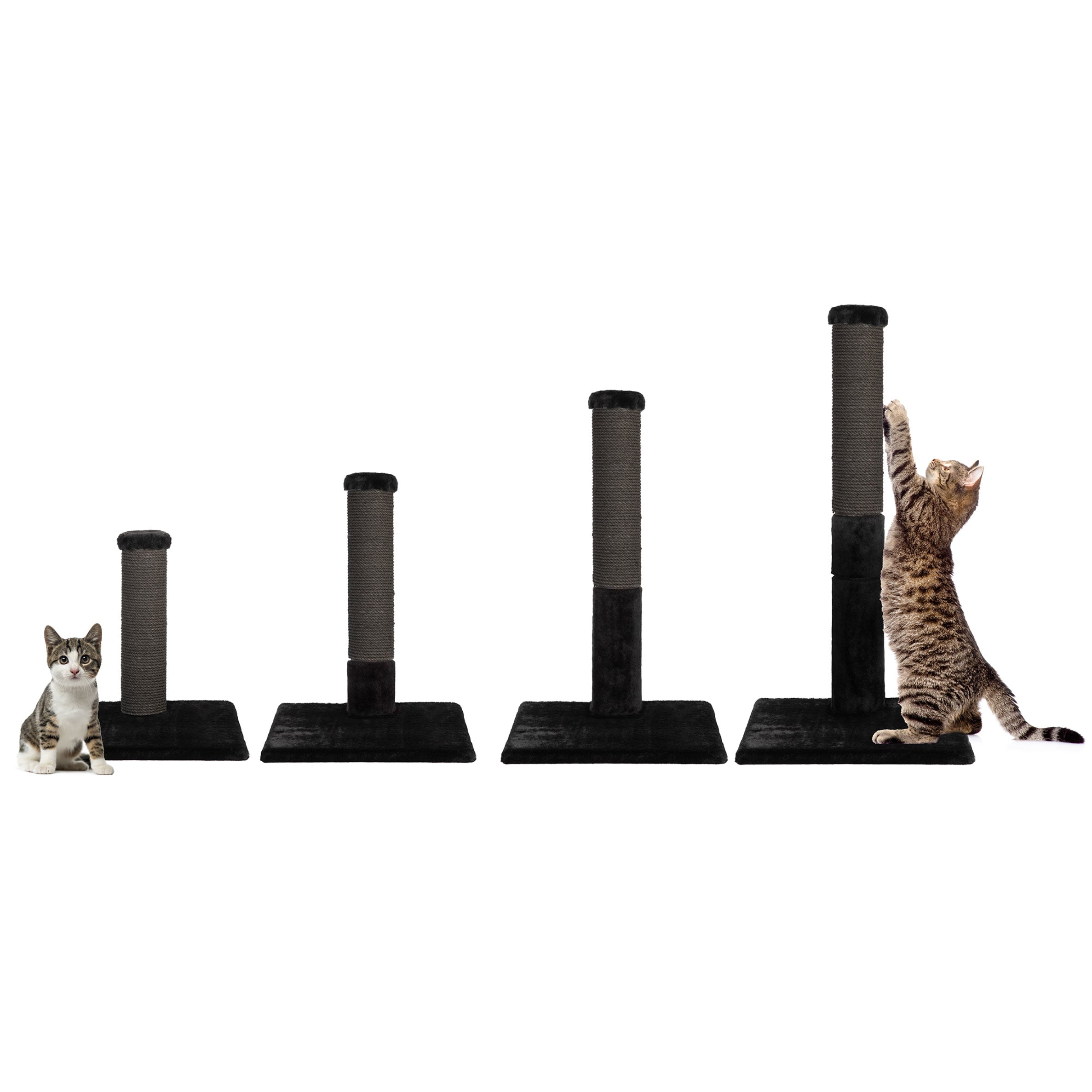Cat Scratcher Post | Tag4MyPet | Ships to USA & Canada
