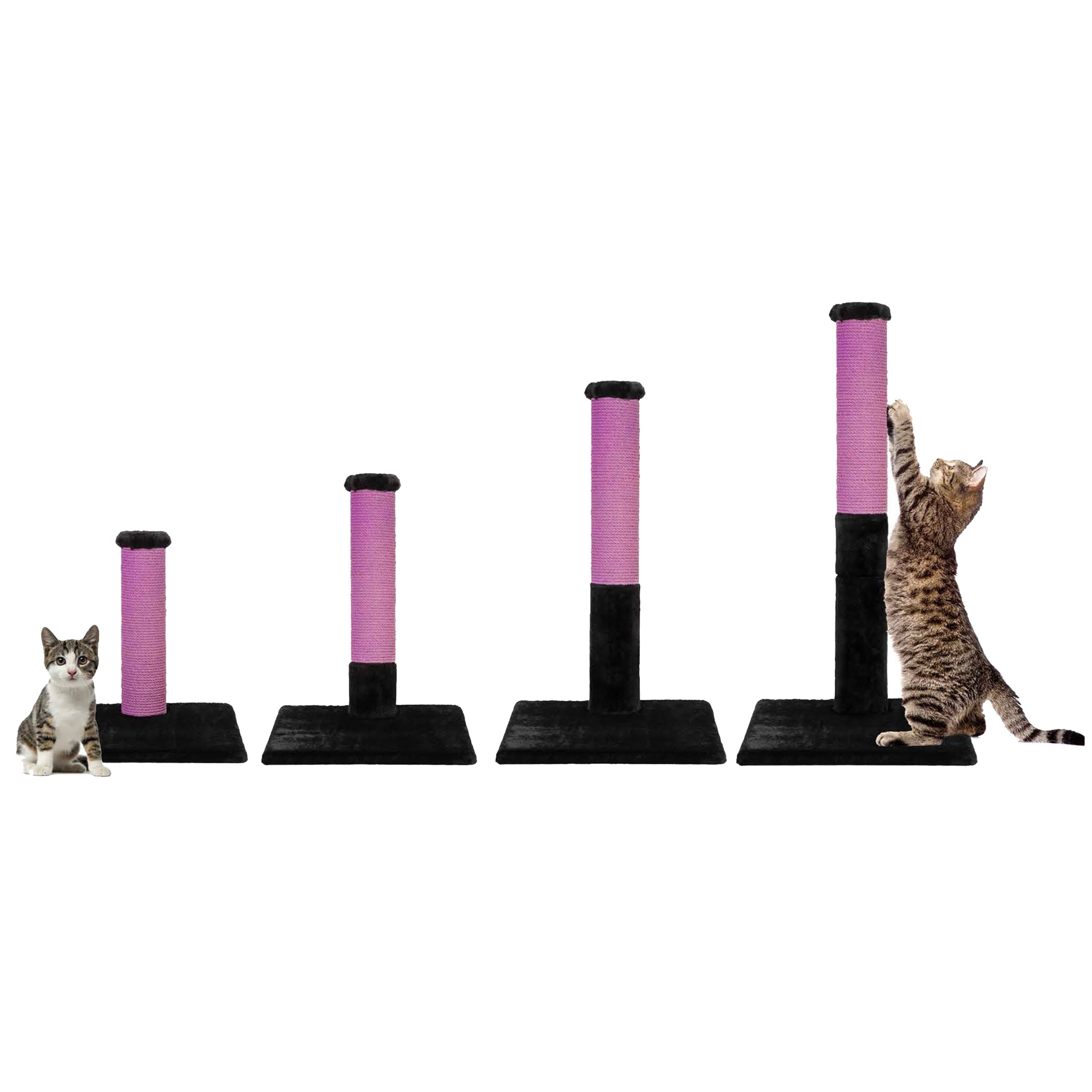 Cat Scratcher Post | Tag4MyPet | Ships to USA & Canada