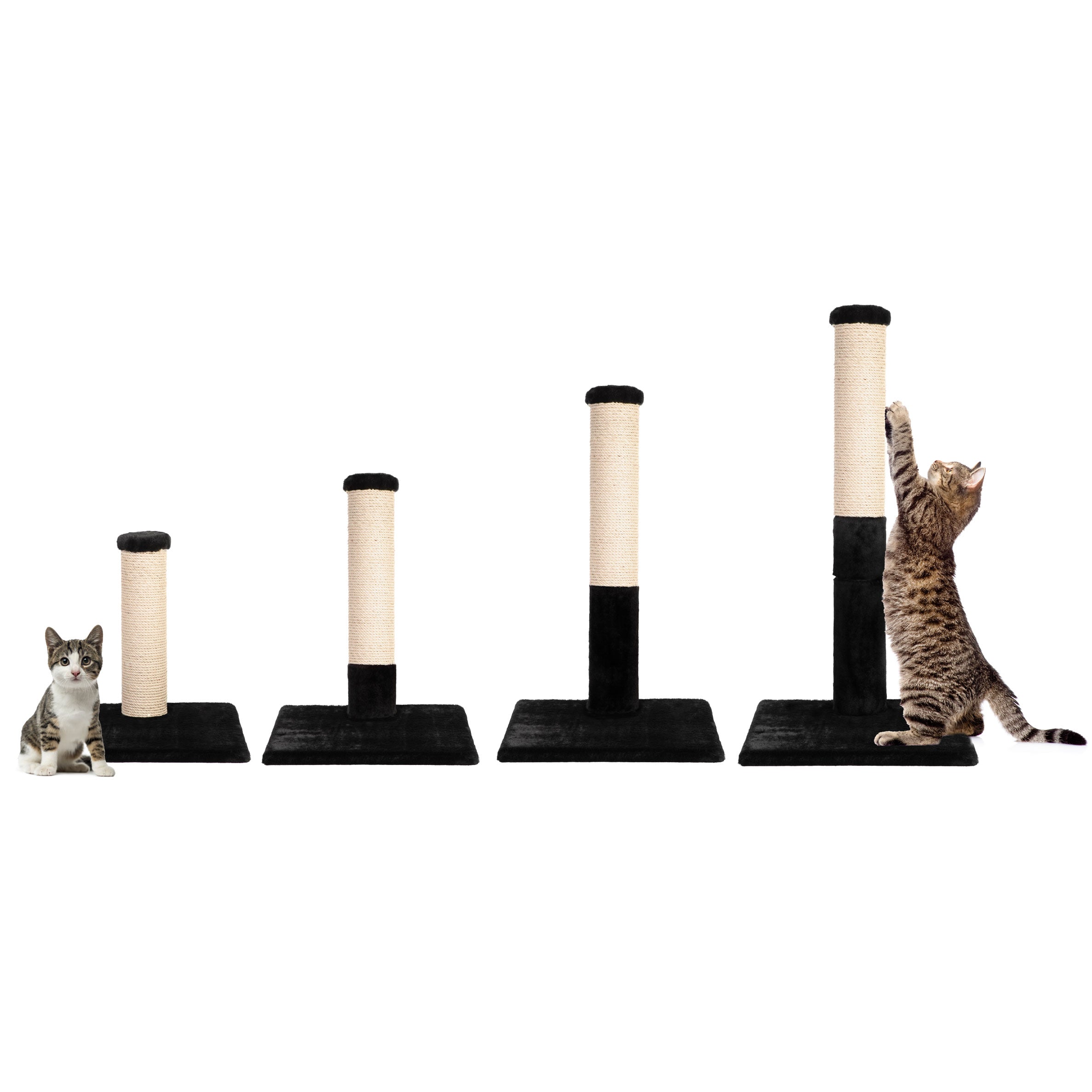 Cat Scratcher Post | Tag4MyPet | Ships to USA & Canada