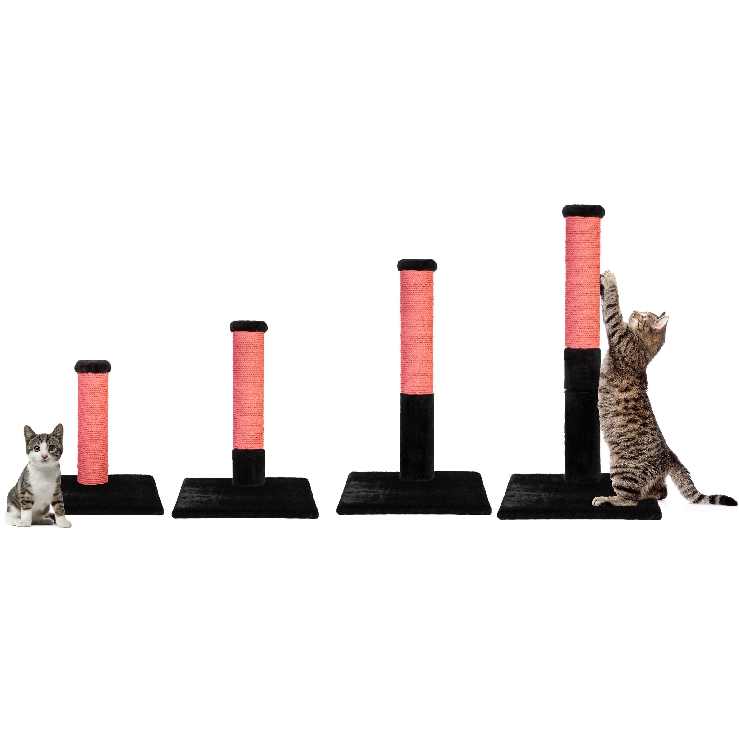 Cat Scratcher Post | Tag4MyPet | Ships to USA & Canada