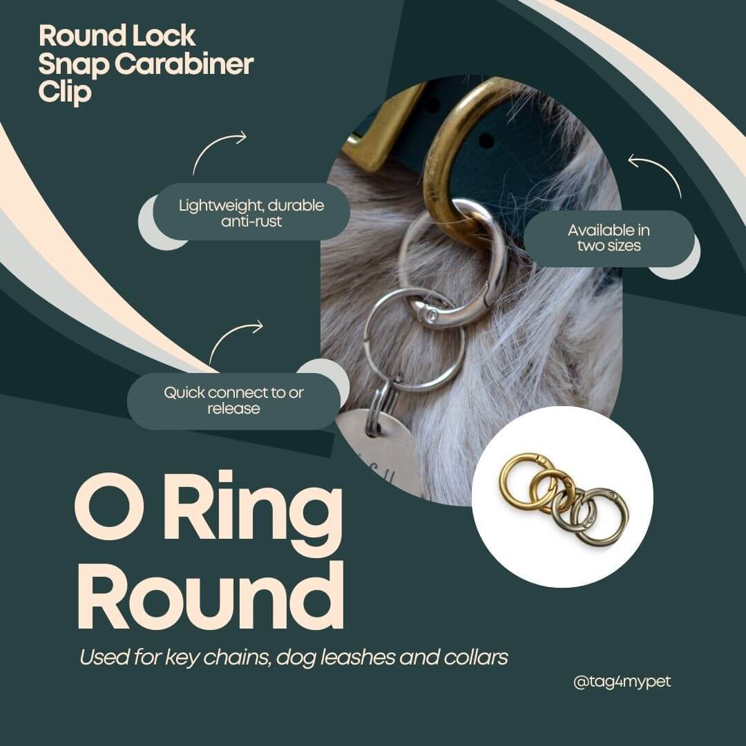 O-Ring Round