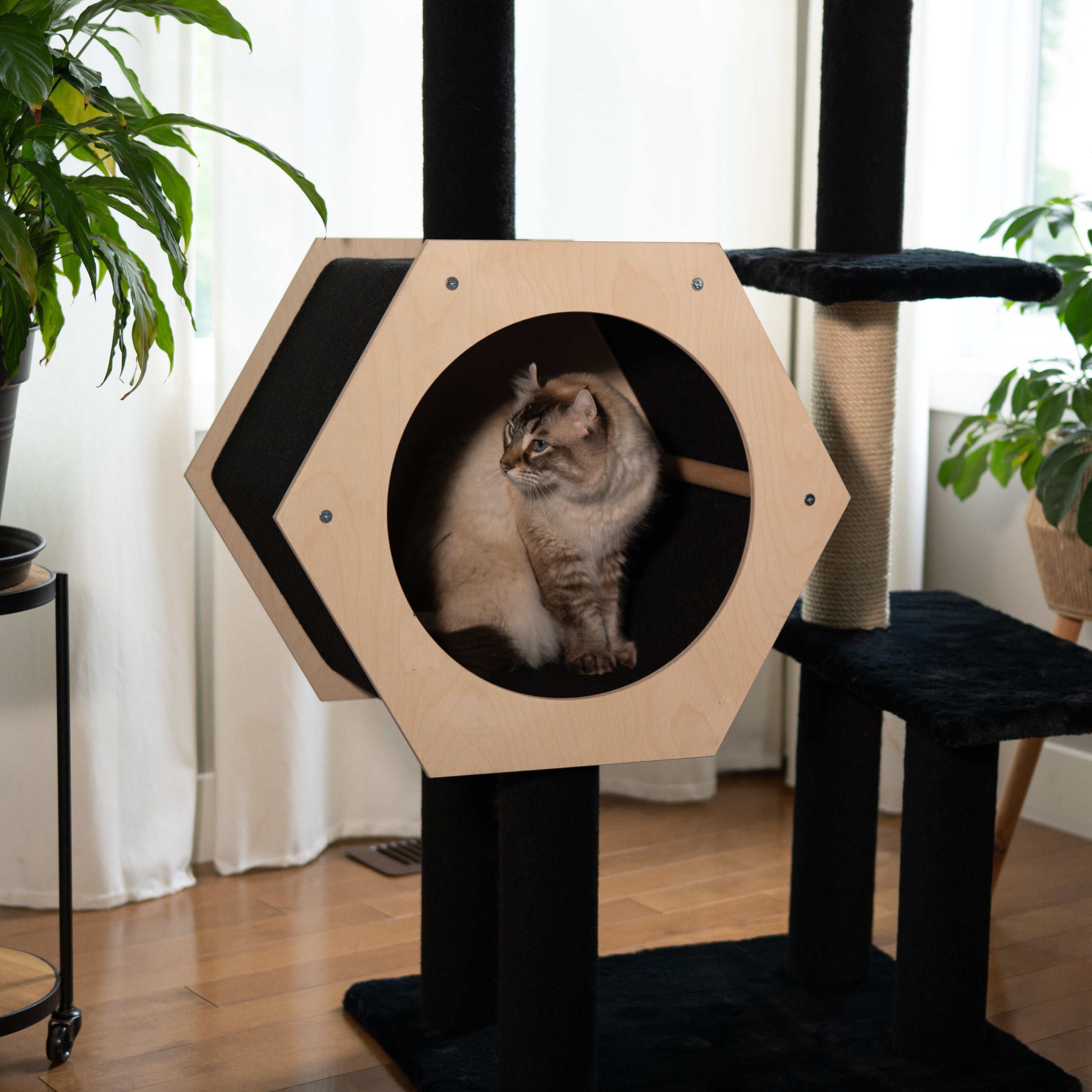 Cat Tree Unique | Tag4MyPet | Ships to USA and Canada