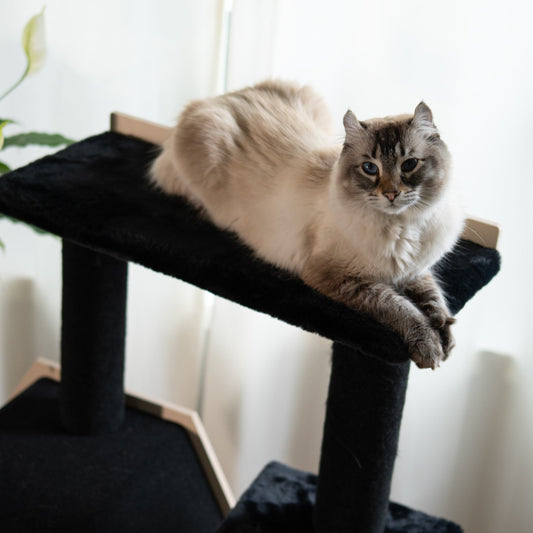 Cat Tree Unique | Tag4MyPet | Ships to USA and Canada