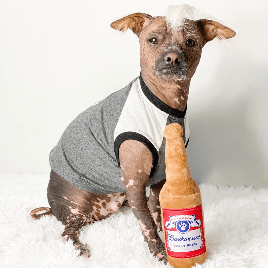 Bottoms Up Plush Dog Toy – Squeaky & Eco-Friendly