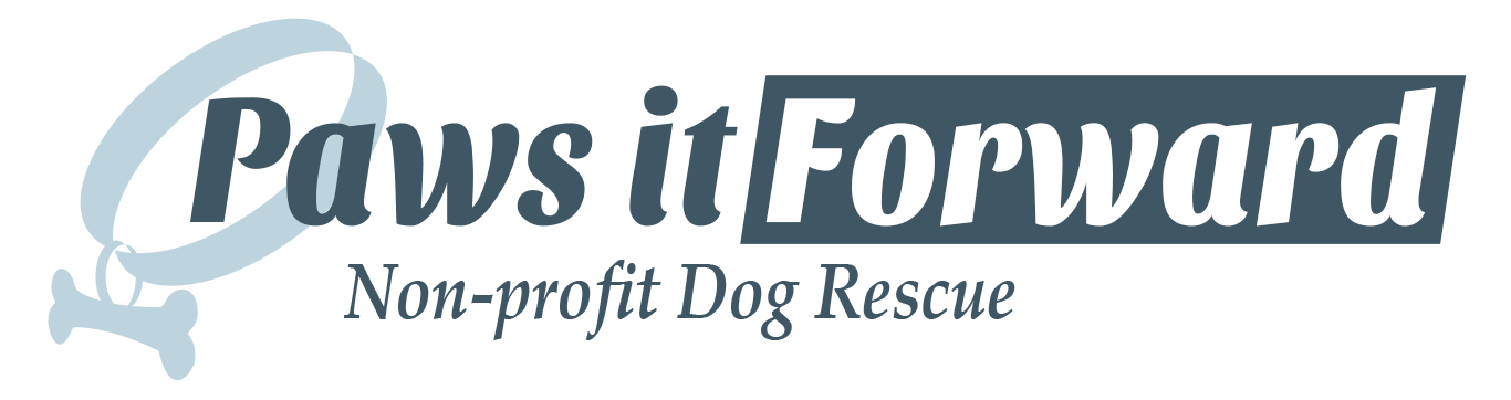 Paws It Forward Logo