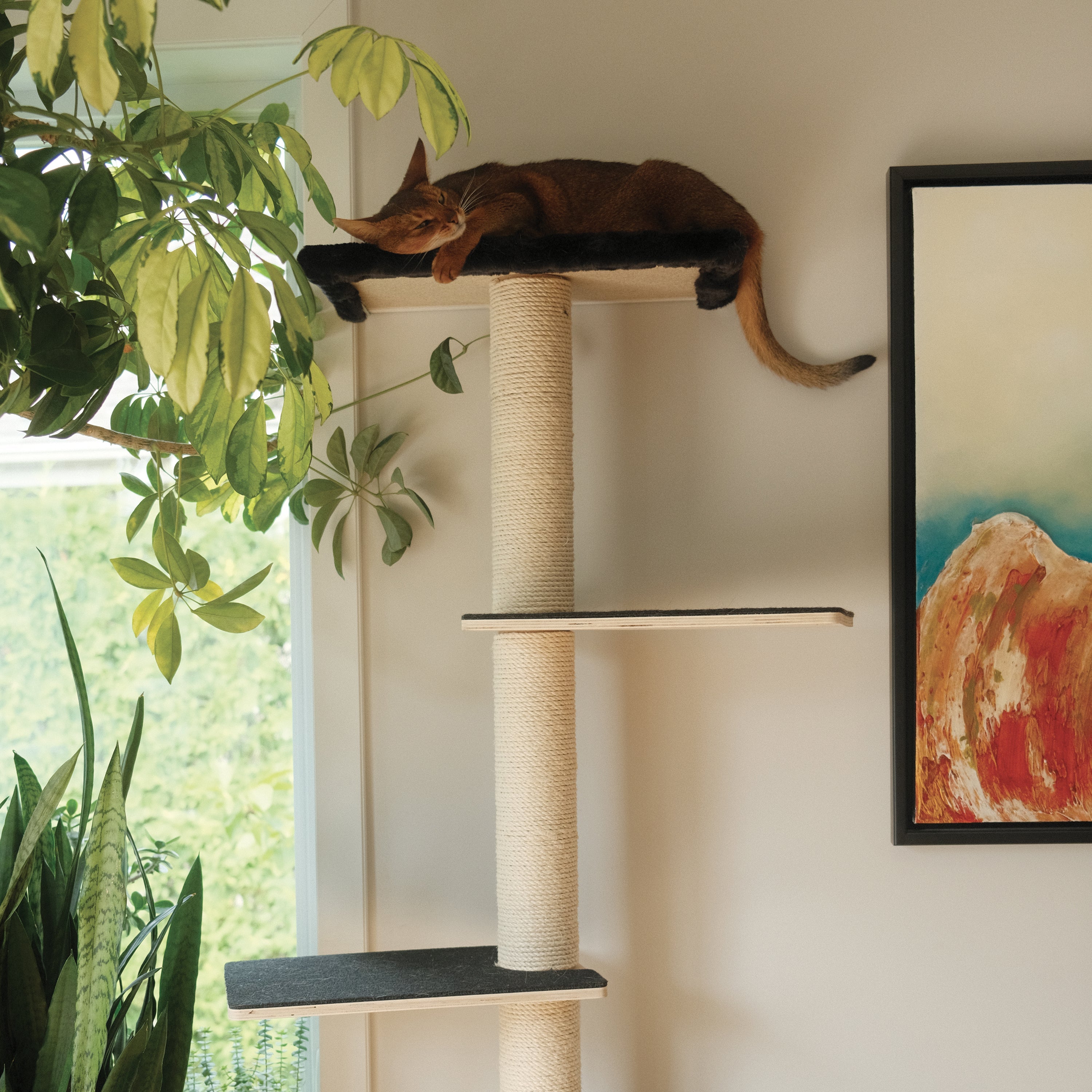 Noba Mural Kit – Vertical Playground for Cats