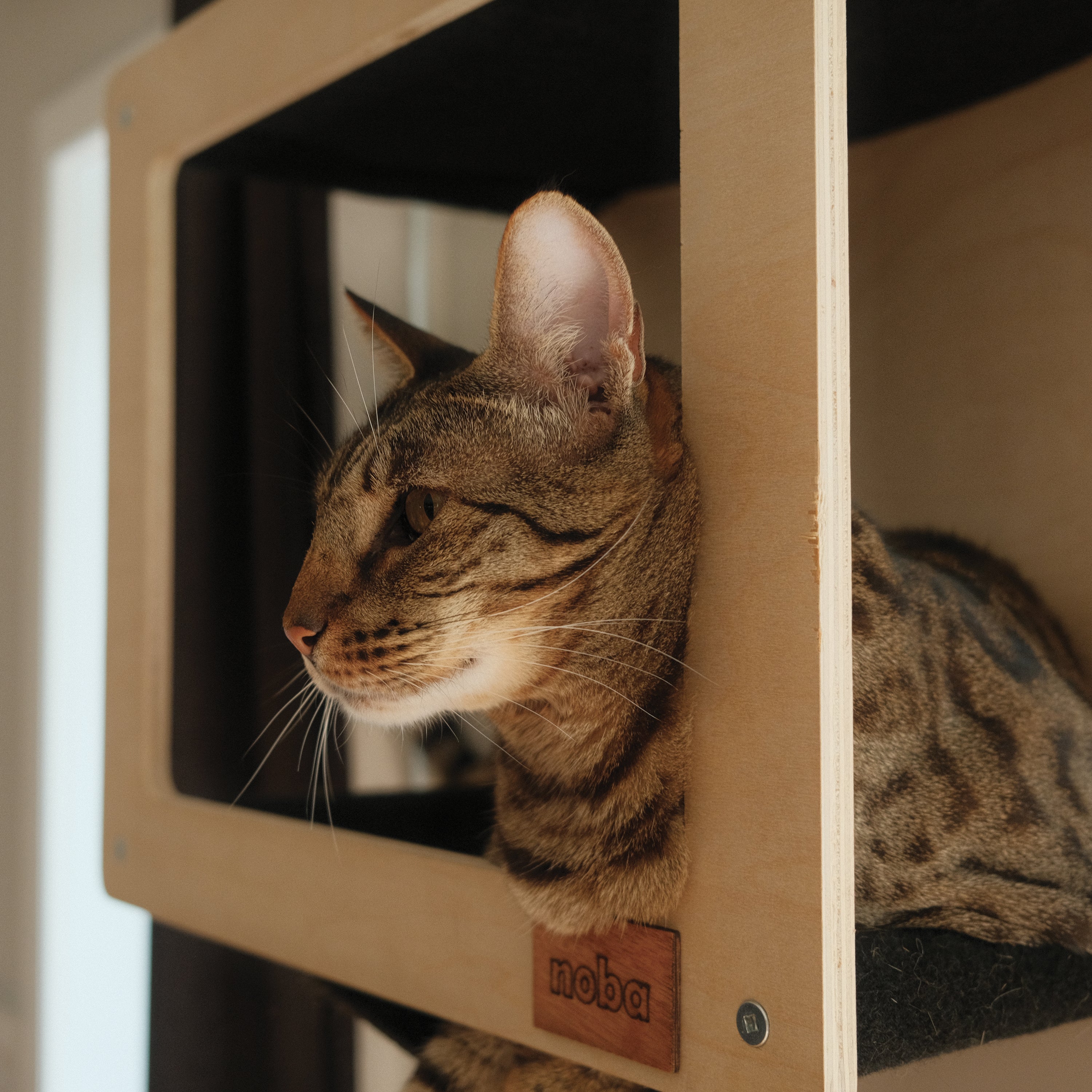 Noba Mural Kit – Vertical Playground for Cats