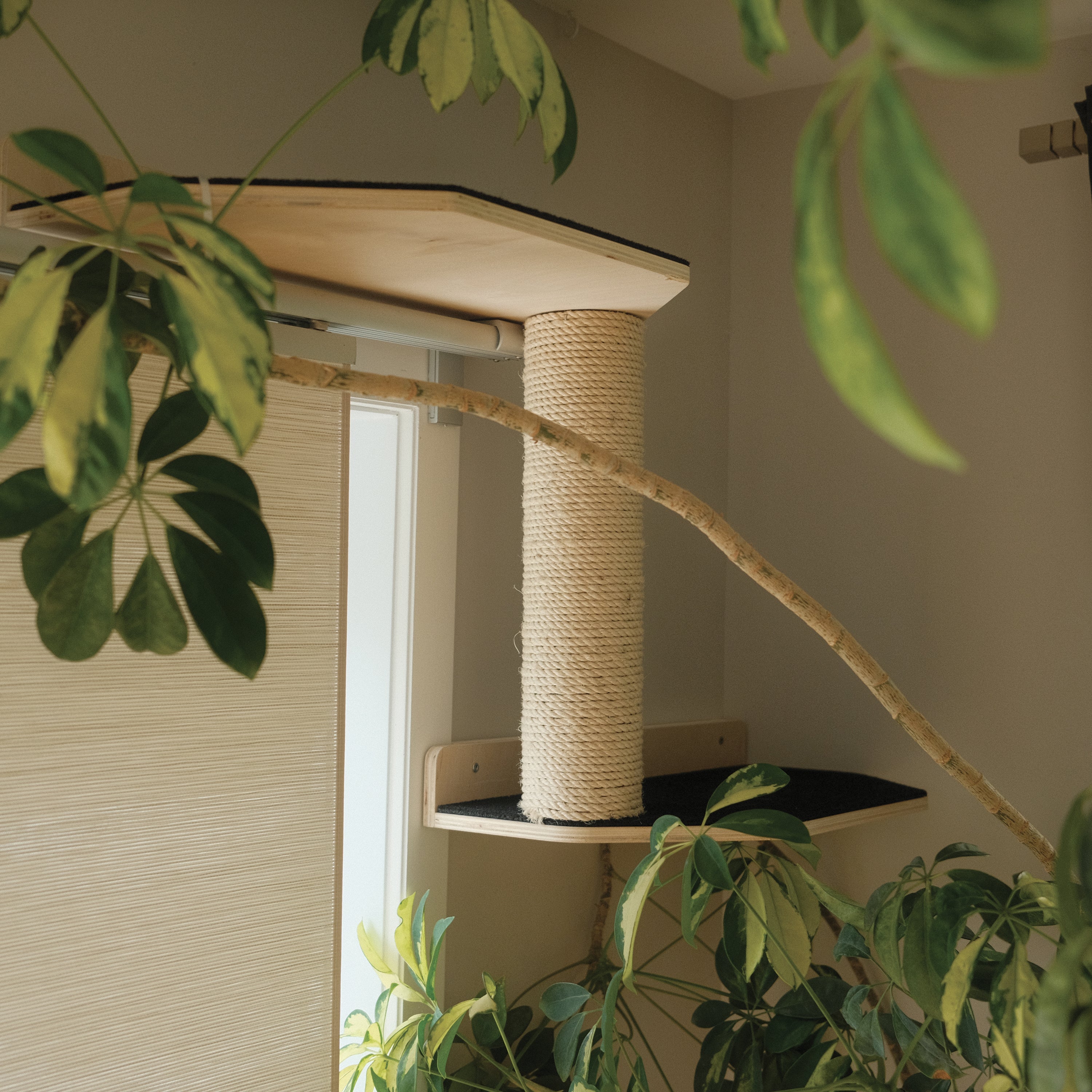 Noba Mural Kit – Vertical Playground for Cats
