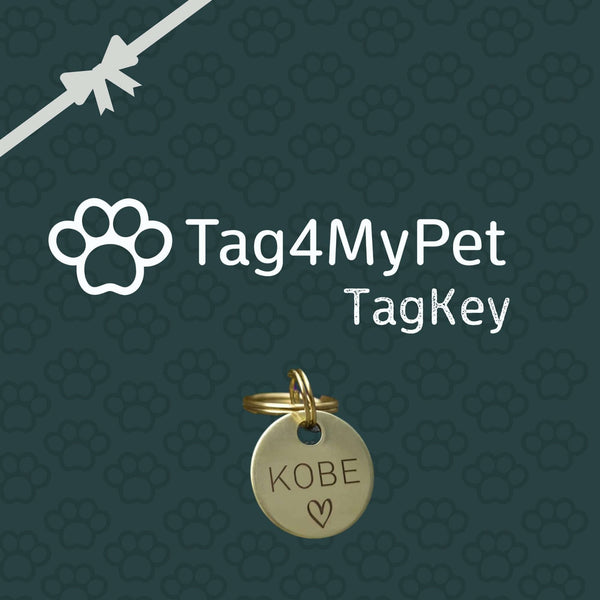 TagKey - Get any tag of your choice