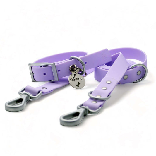 Tag Collar Leash Dog Set