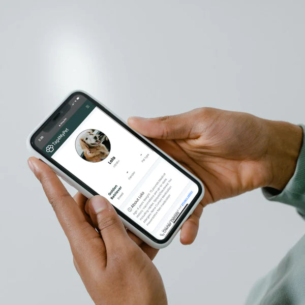 A picture showing our QR code pet tag website