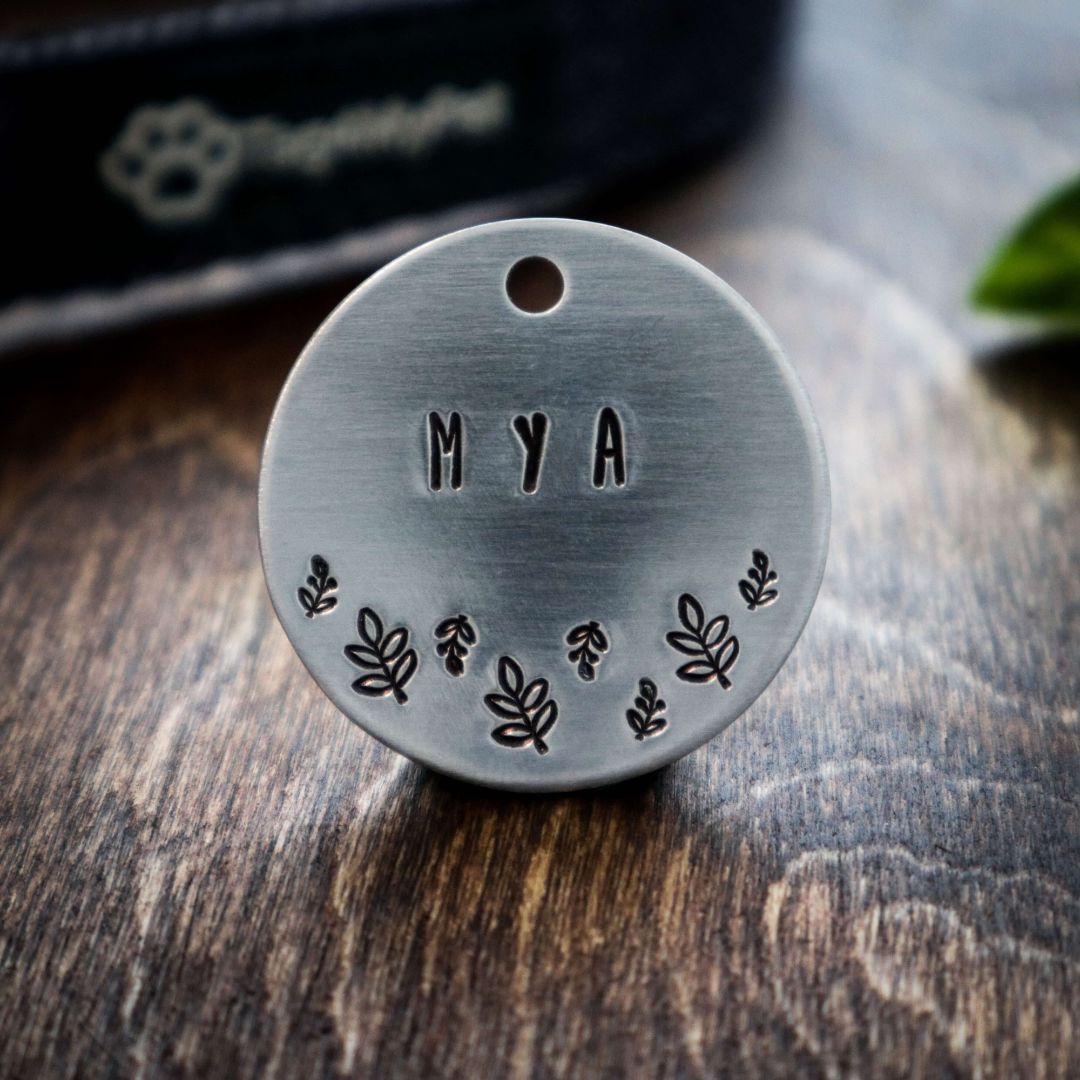 Cat identity tags