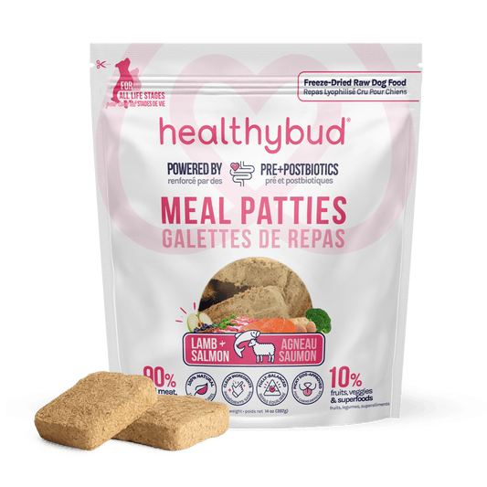 Salmon Meals for Dogs