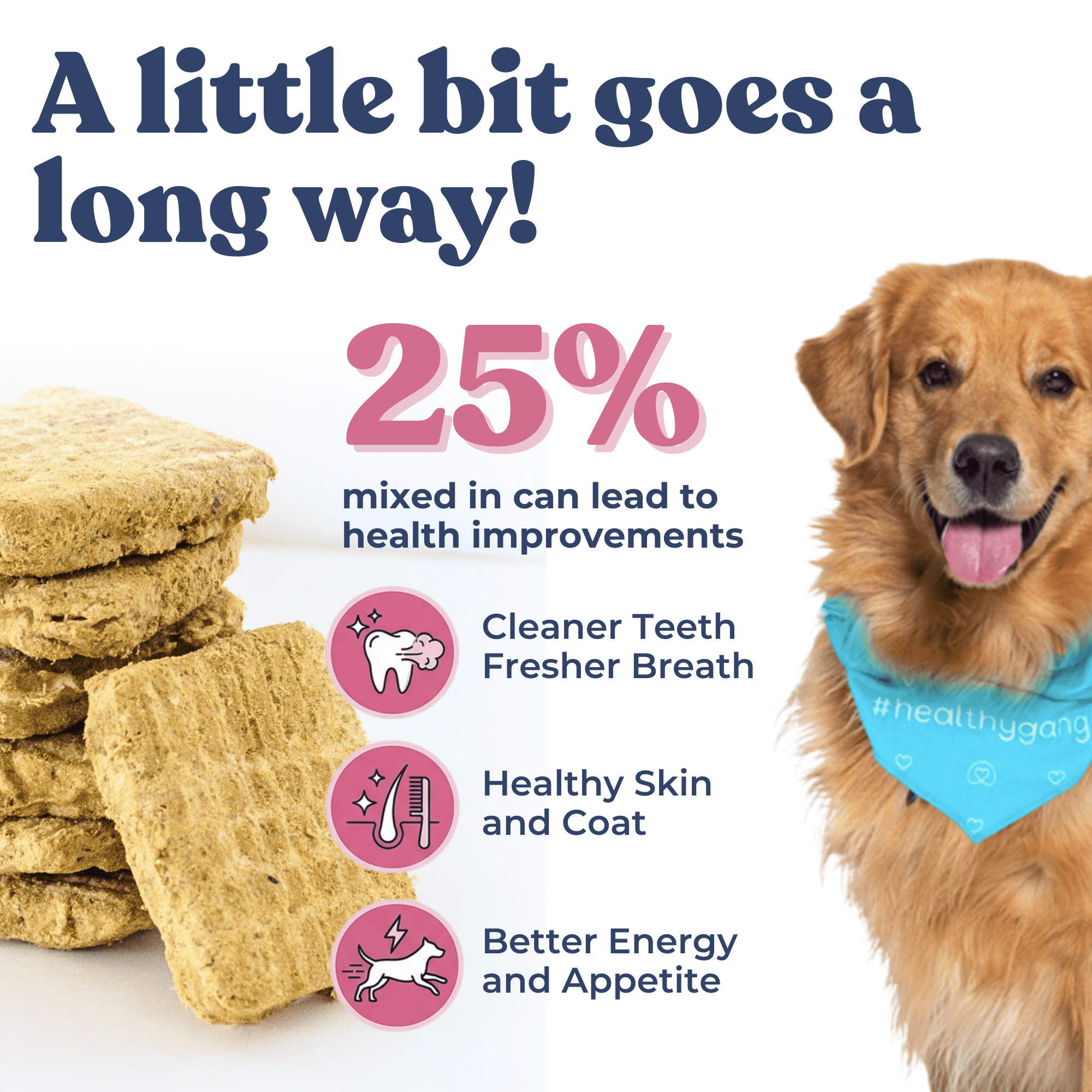 Salmon Meals for Dogs