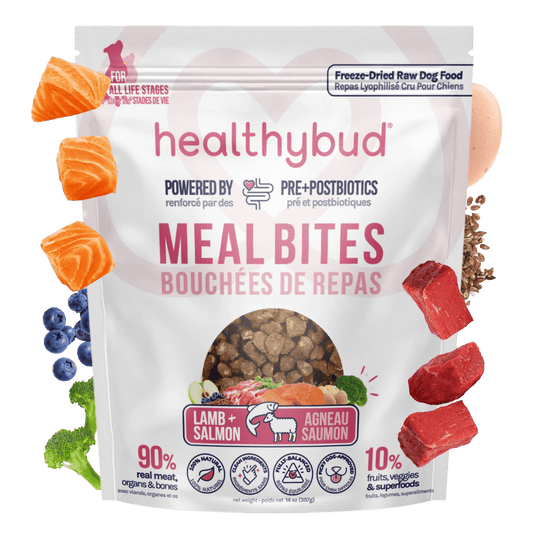 Salmon and Lamb Treats for Dogs