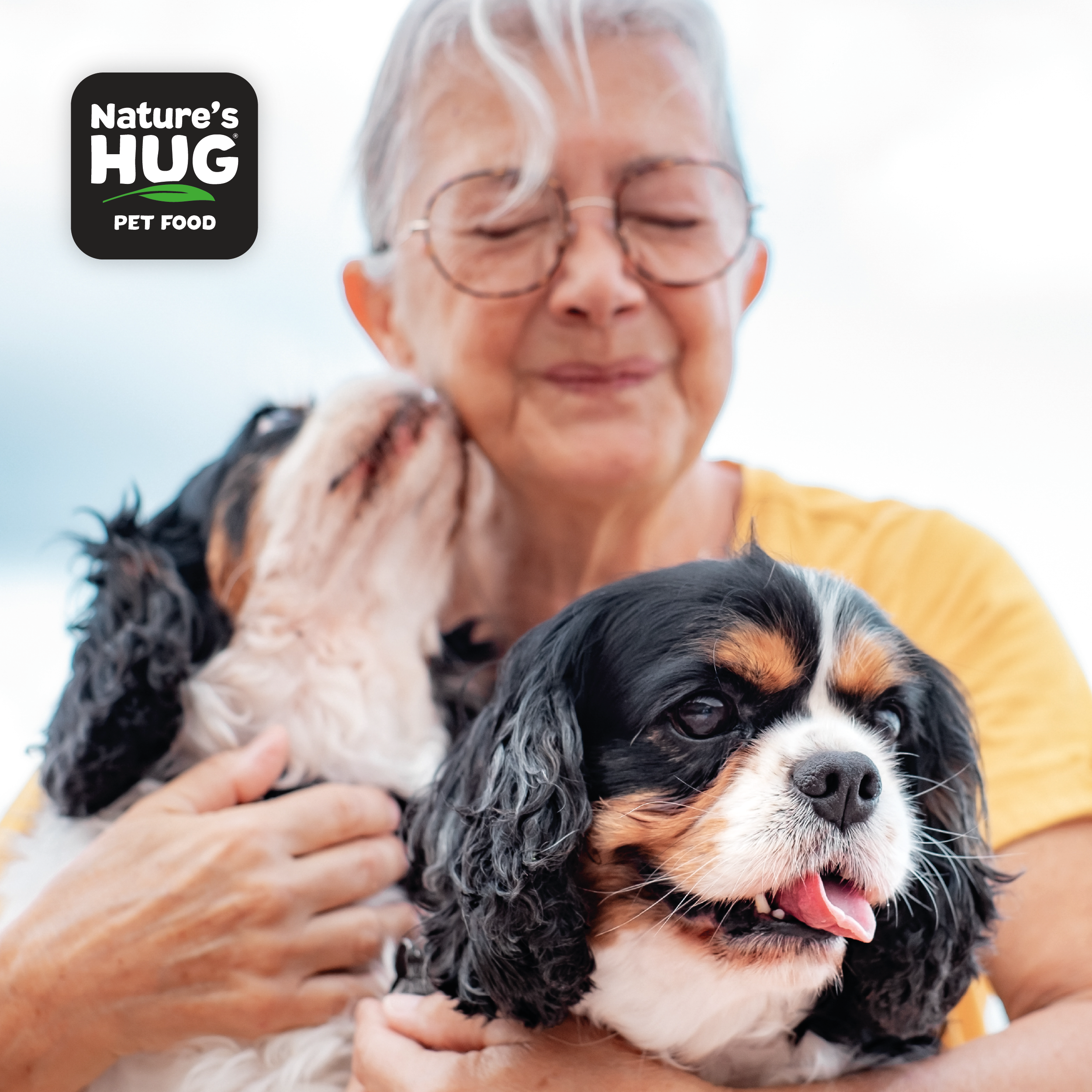 Senior Small Dog